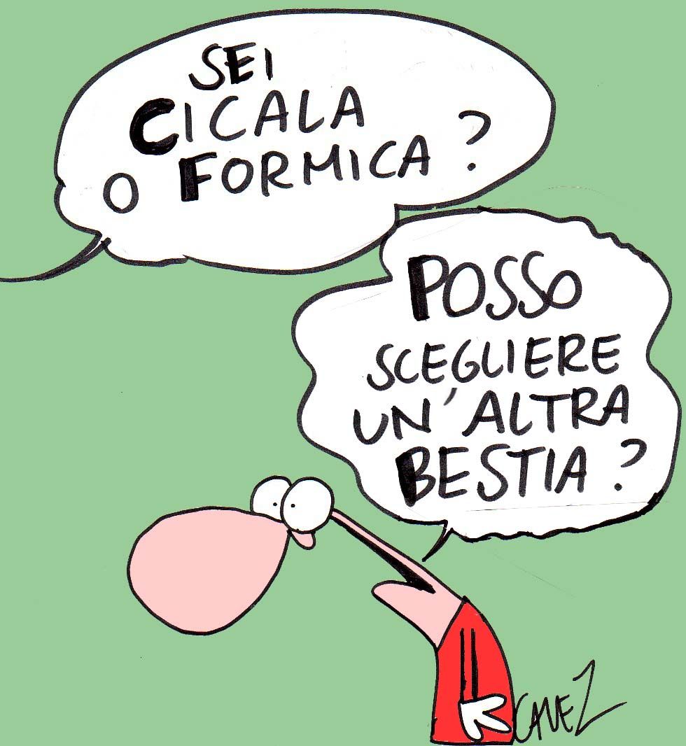 Vignetta entomologica 3: da quale parte state?